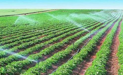 美女浪穴农田高 效节水灌溉